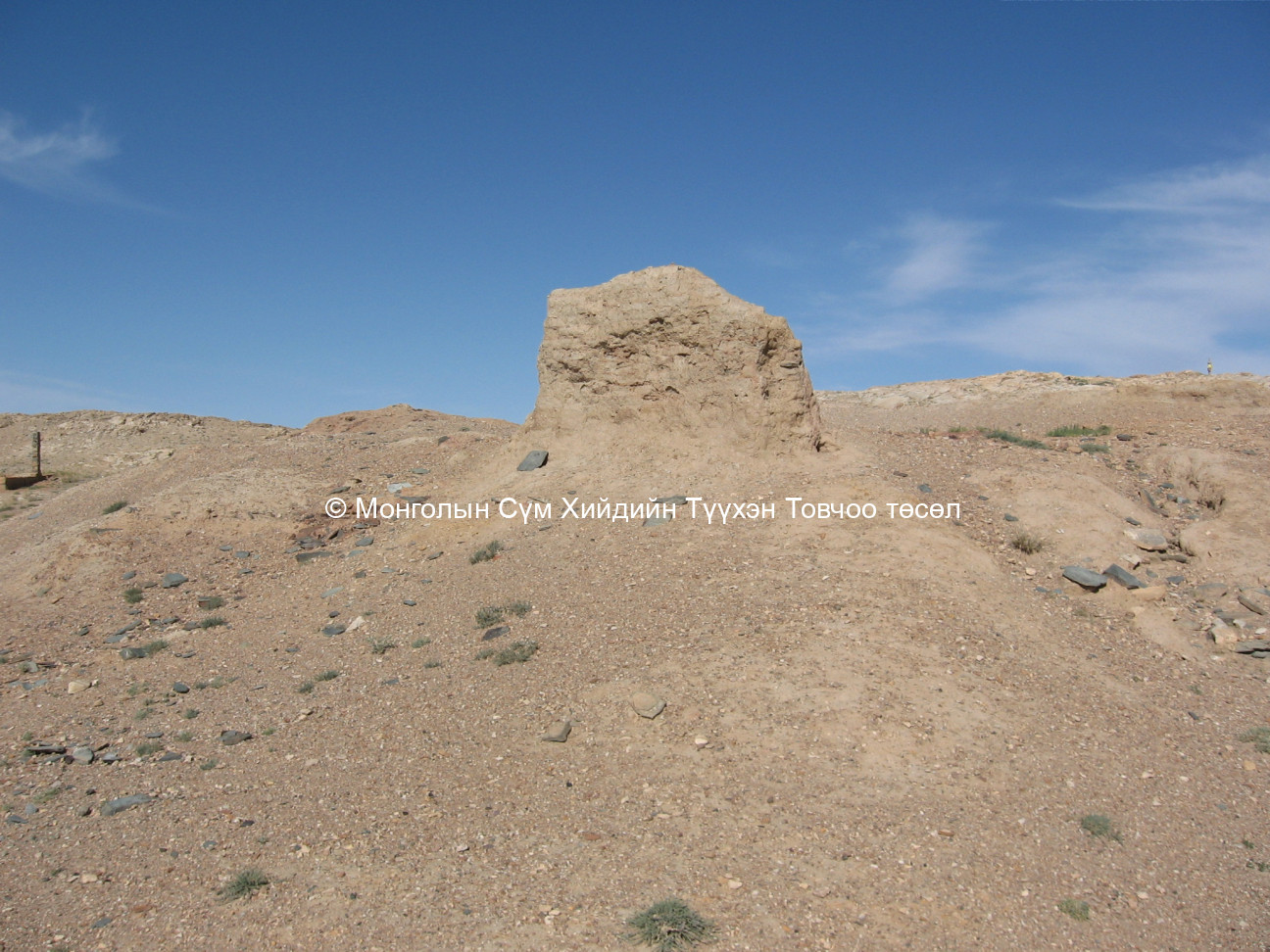 Үлдэгдэл туурь